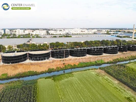 Reliable Biogas Power Plant and A2O Process for Municipal Sewage Treatment in Mauritius