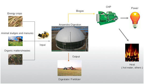 बायोगैस भंडारण टैंक बेहतर ईपीसी टर्नकी आपूर्तिकर्ता अपशिष्ट बायोगैस बिजली के लिए पूर्ण पैकेज प्रणाली 1